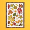 Autumn Leaves - Feature Image